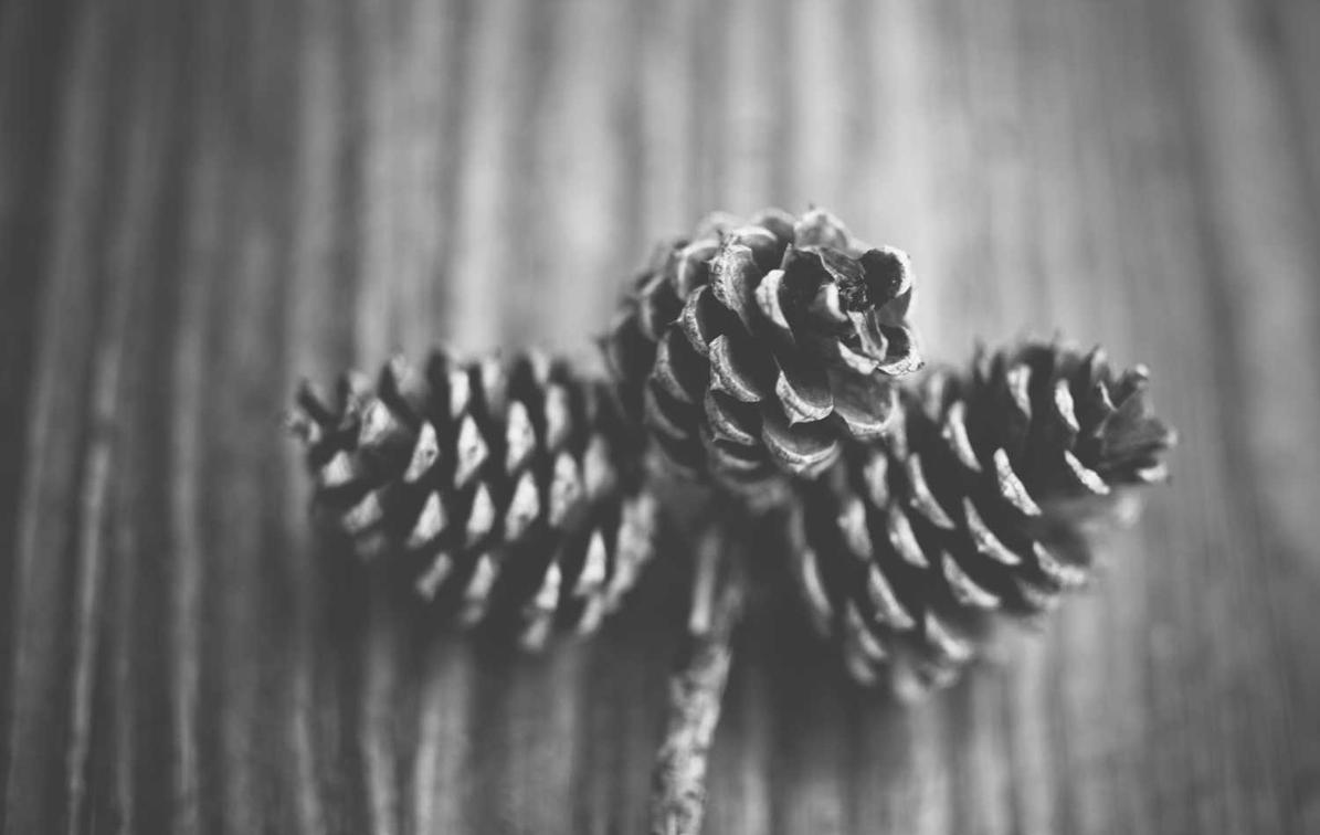 奥奇传说：哈尔滨代理记账注册公司