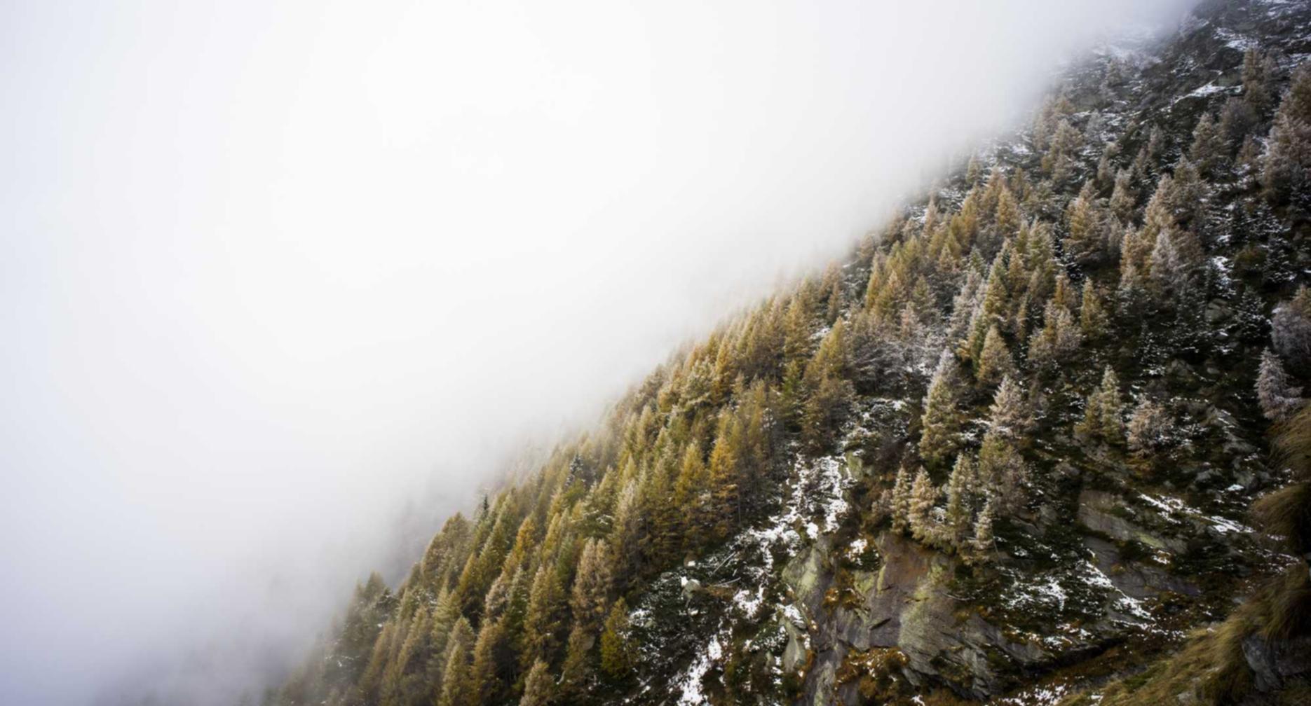 新款爱喜爆珠：怎样做美团众包平台代理商