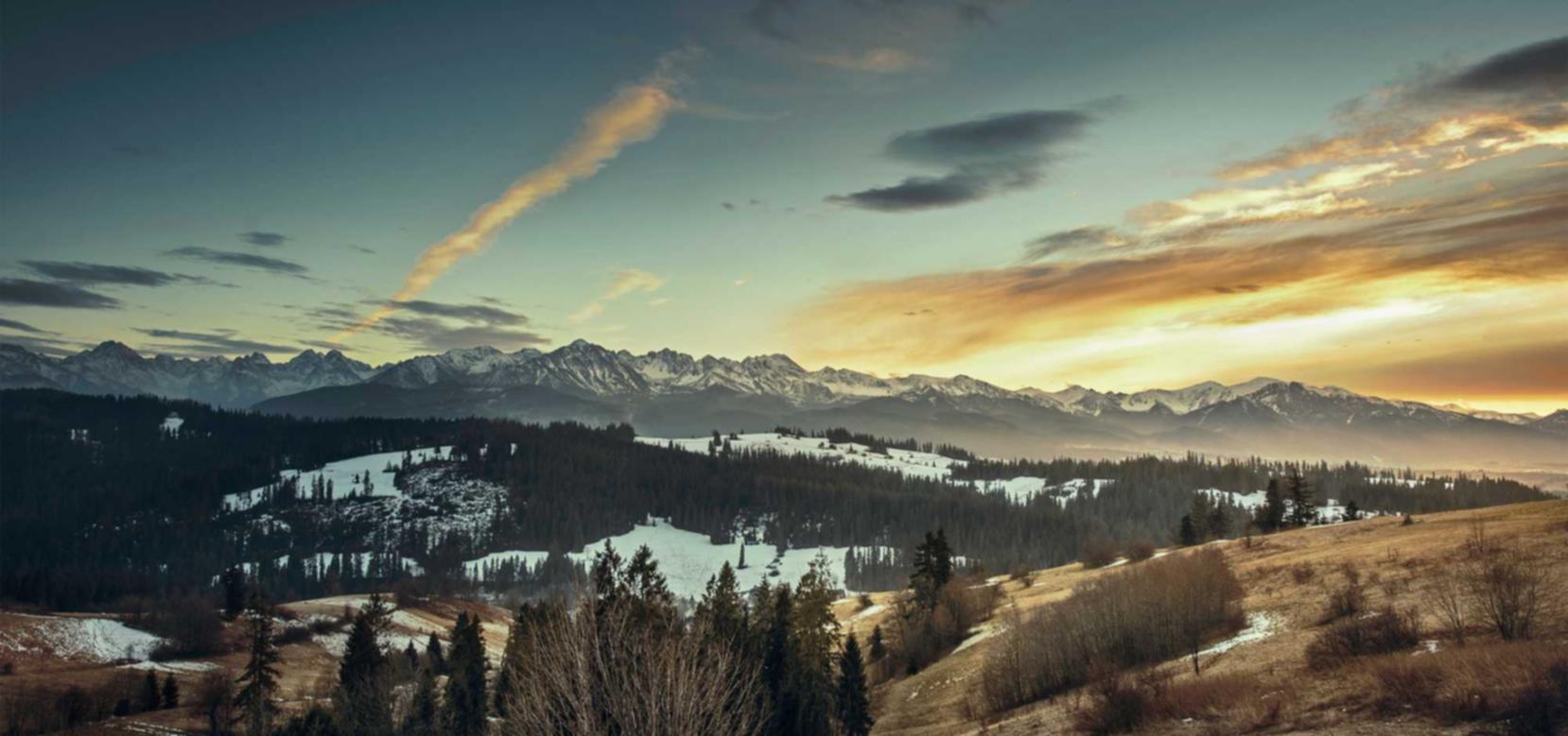 豪利时树叶爆珠：购买衣服平台