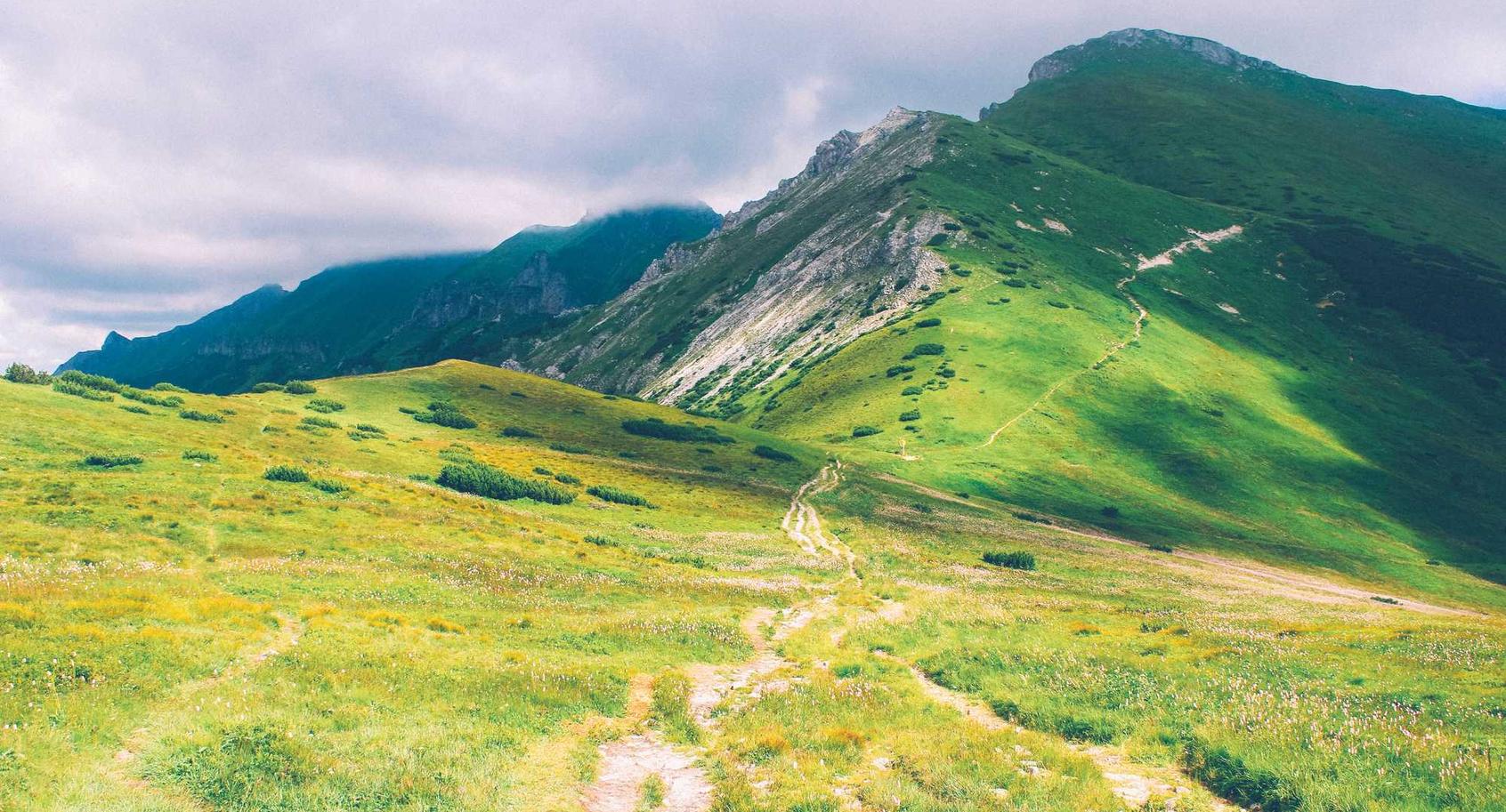 蓝狮在线鼓楼区注册代理记账公司