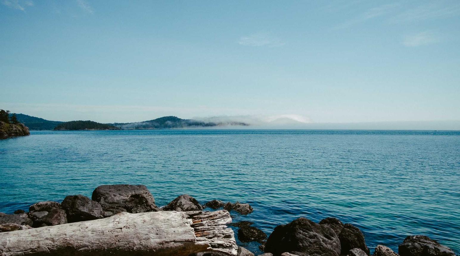 CG阔叶罗布图雪茄：辽宁组合员工桌购买平台