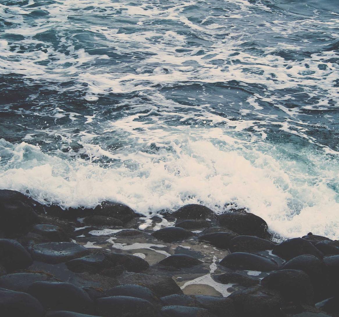 免费棋类代理平台