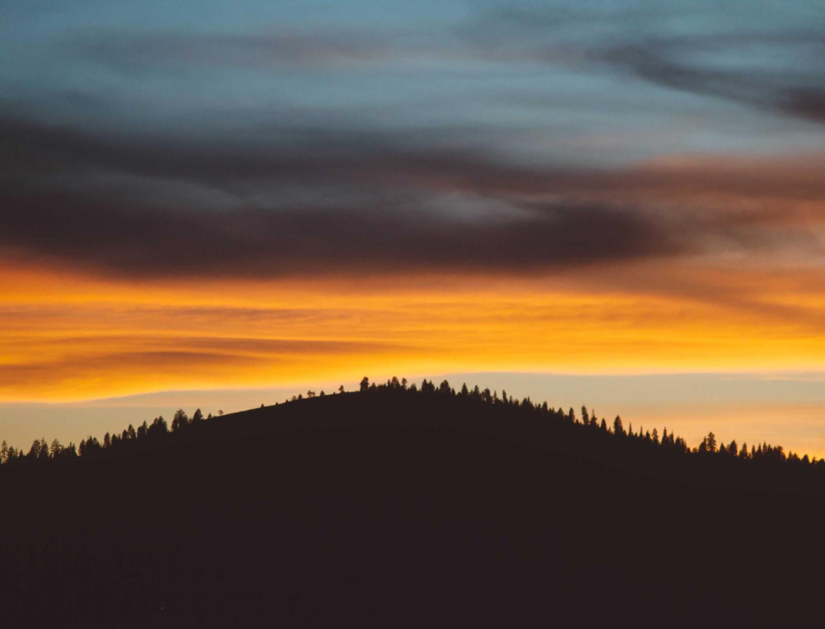 乐语通讯实名账号：实名认证在电商平台中的应用