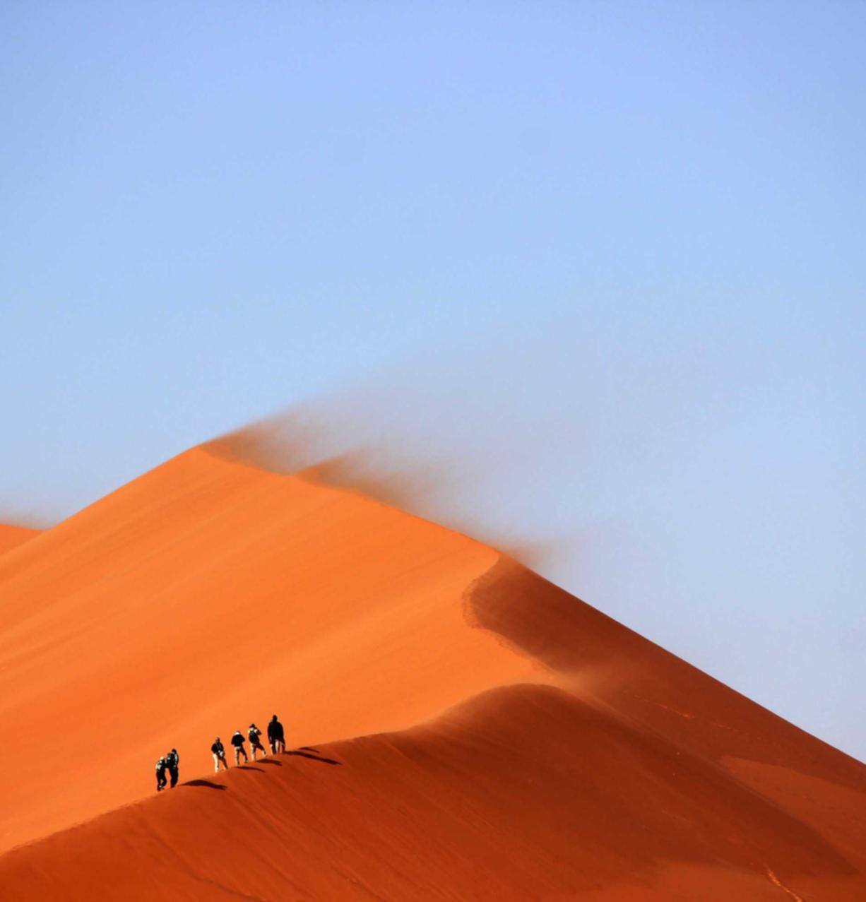 上网实名上网卡- 食品代理平台