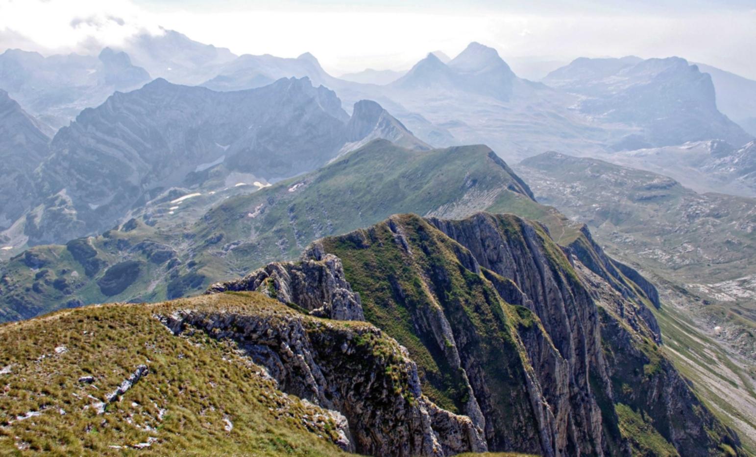 微信实名账号：详情下载教程随时快报app