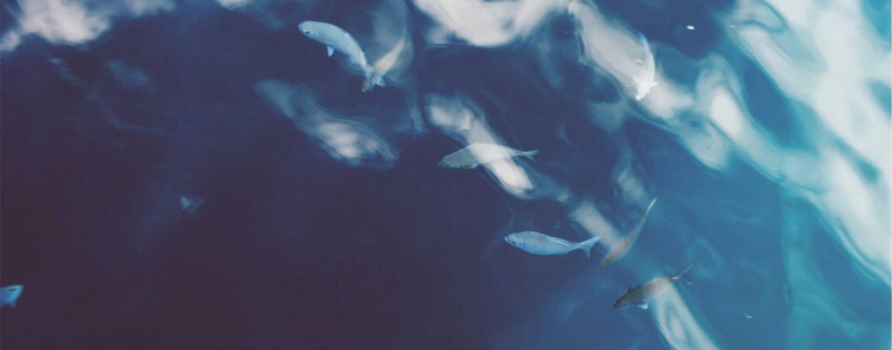 腾冲靠谱的工商注册代理