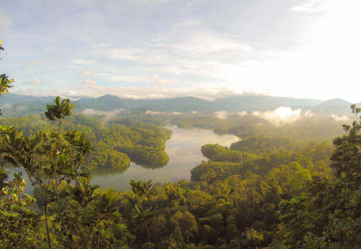三网卡实名账号：台州找代理记账平台哪家好