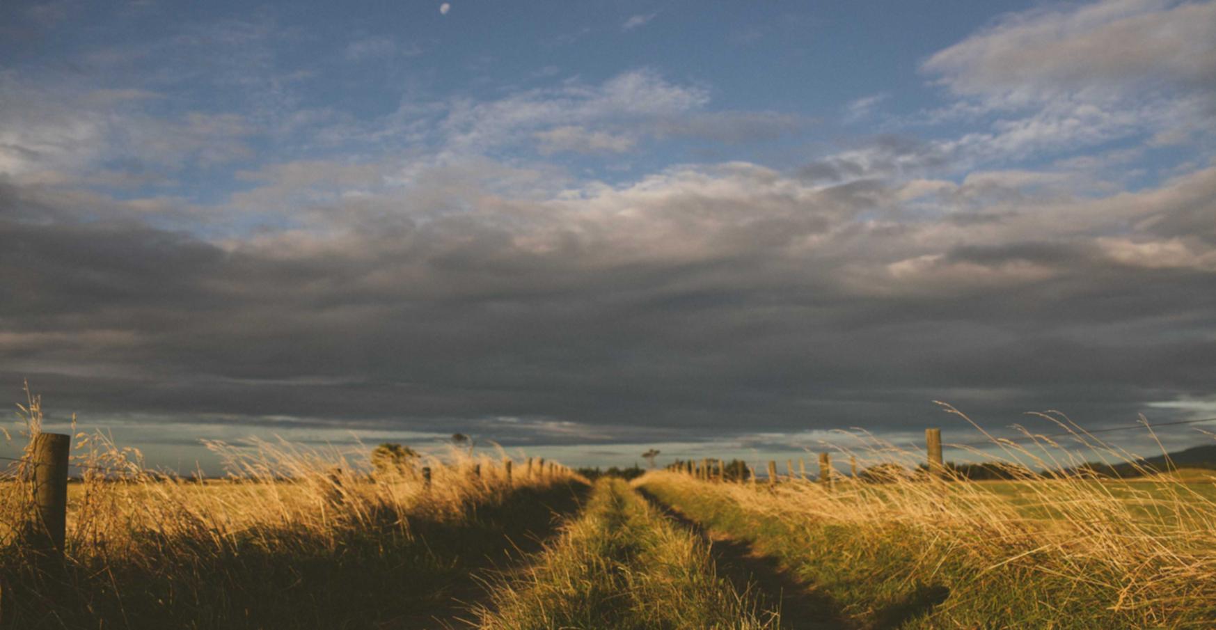 实名QQ号买卖：植物购买平台