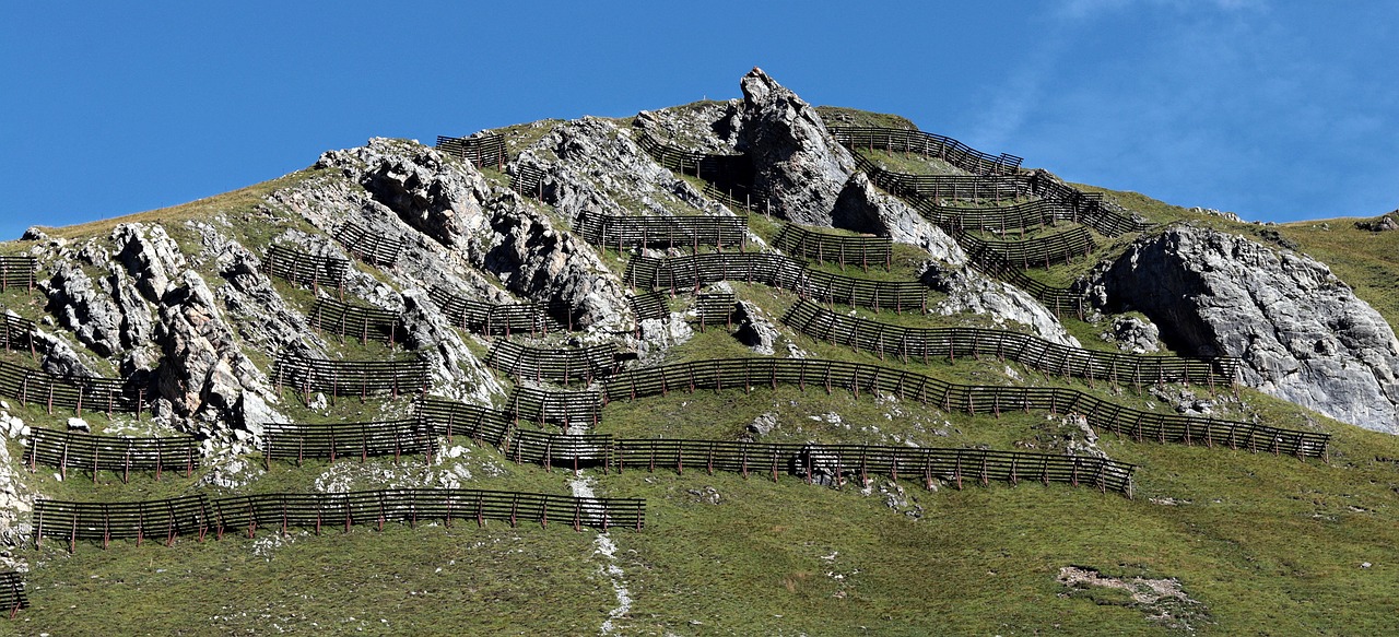 西部数码实名账号：注册公司代理记账