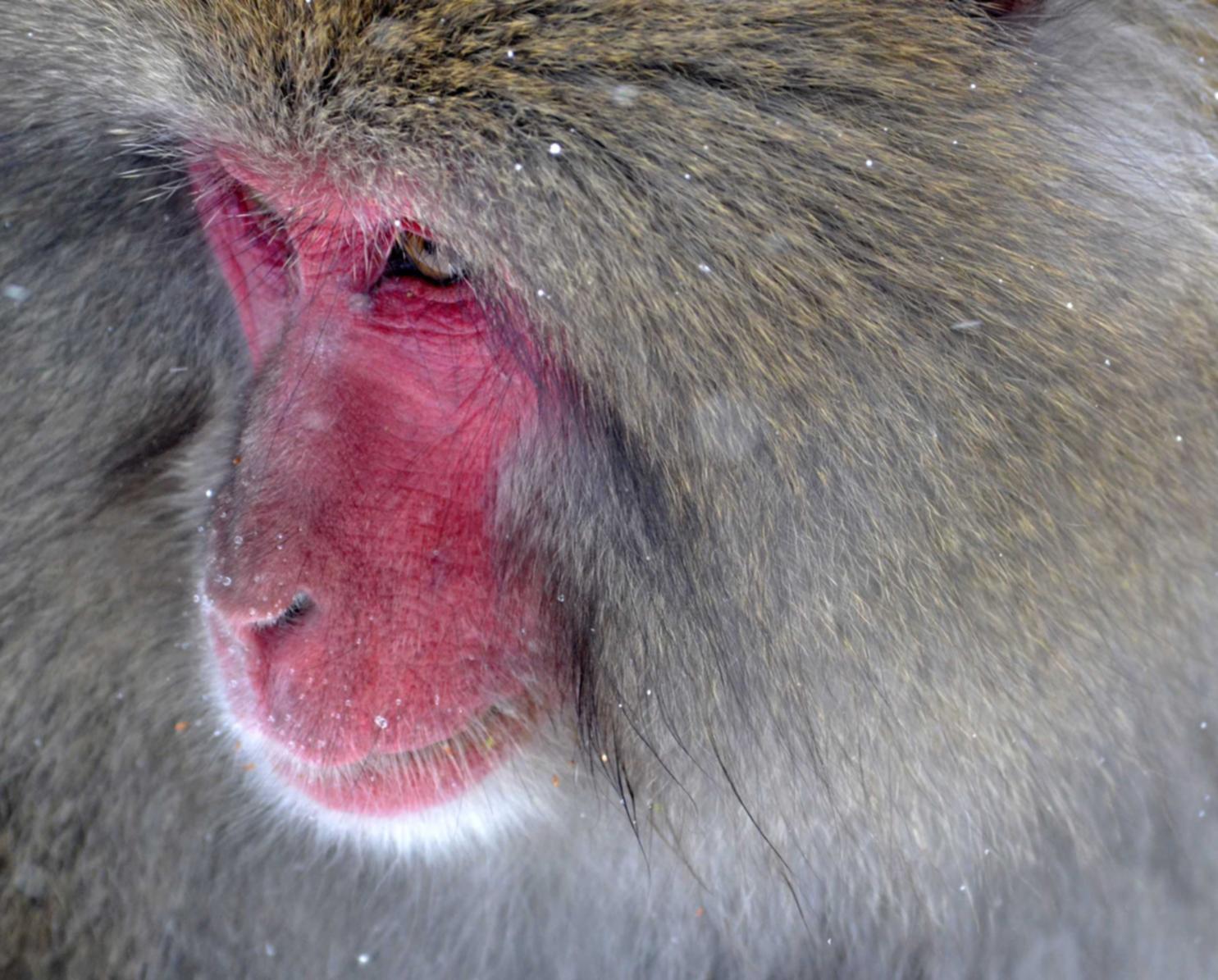 新神魔大陆：水头注册代理记账