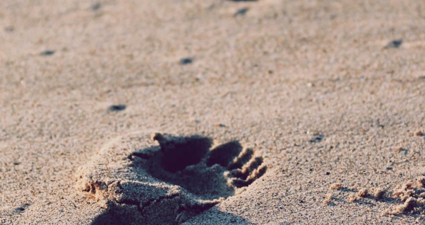 丰信移动实名账号：遵义注册代理