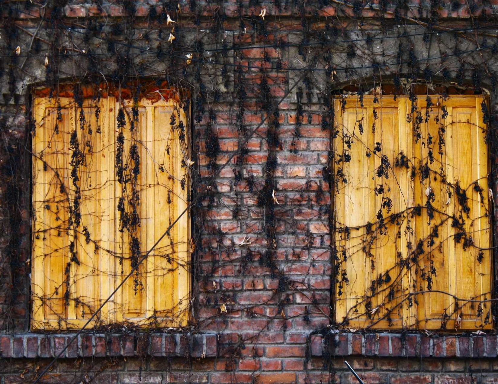 如何识别和识破作弊者?