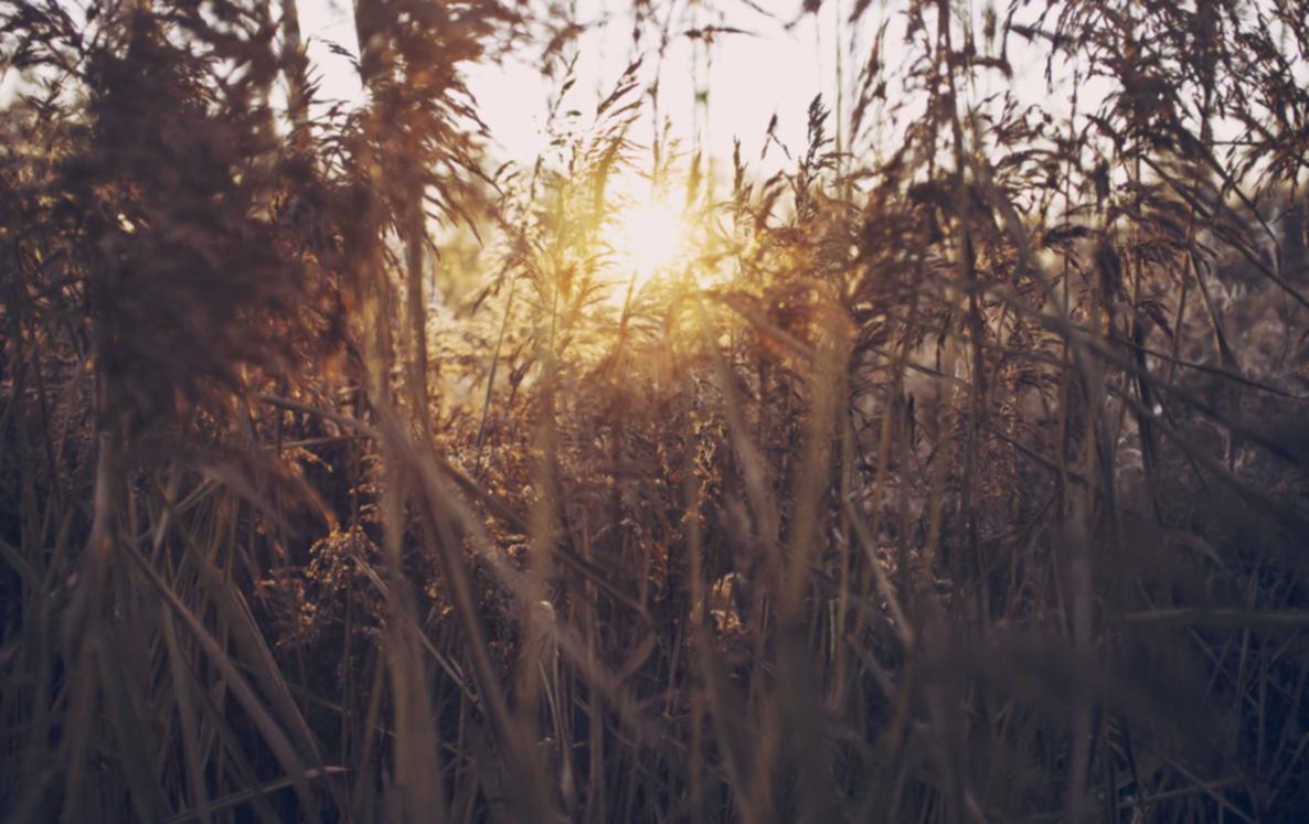 CC在线压力测试|灯无忧app详情下载教程