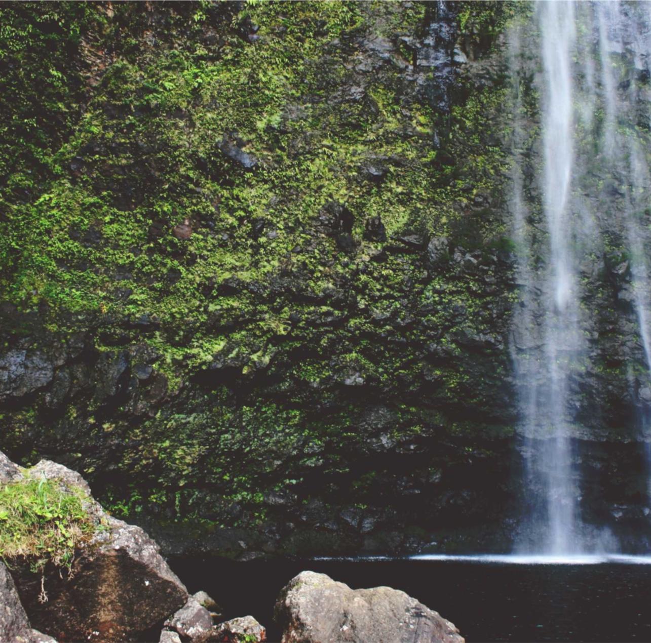 Drupalgeddon漏洞防范与cc网页端