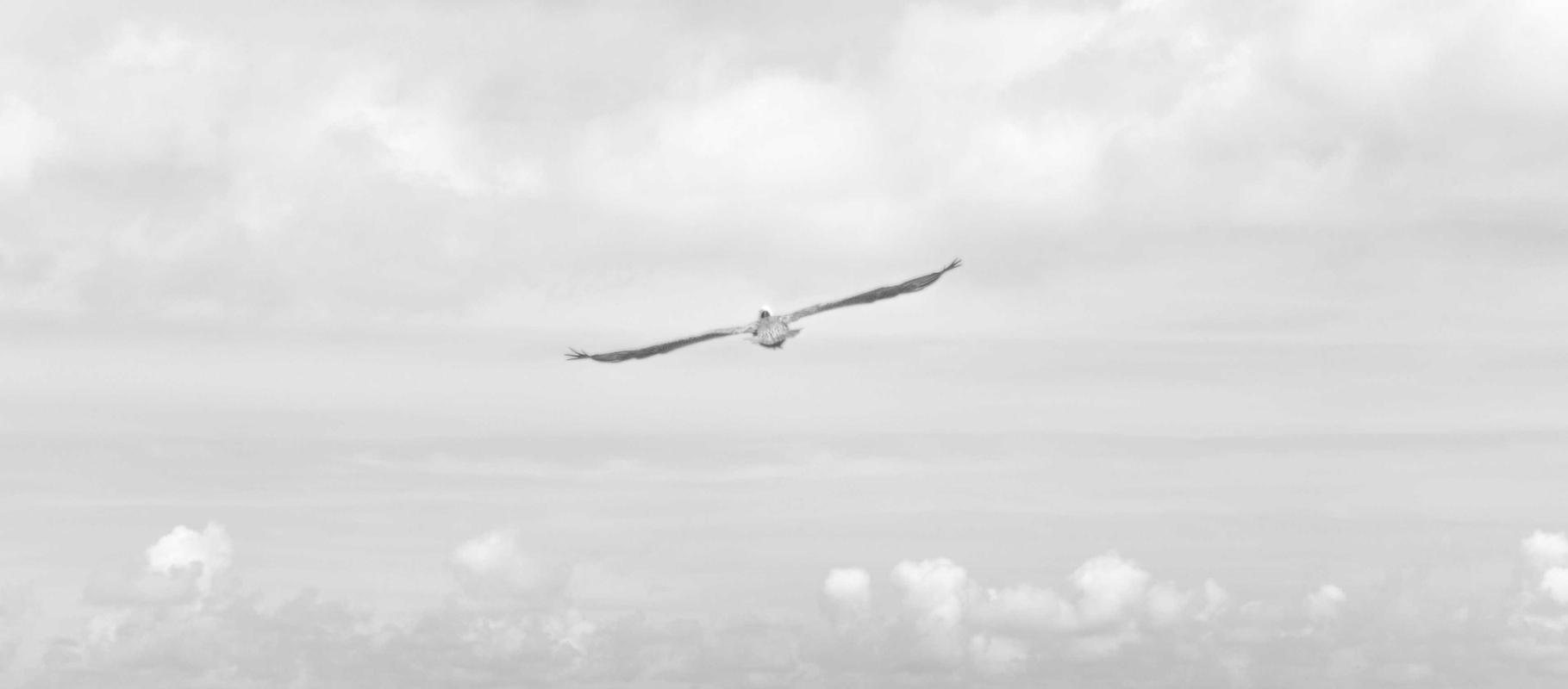 百纵科技实名账号:流量卡的科技布局:如何布局最新科技、如何推动科技发展等