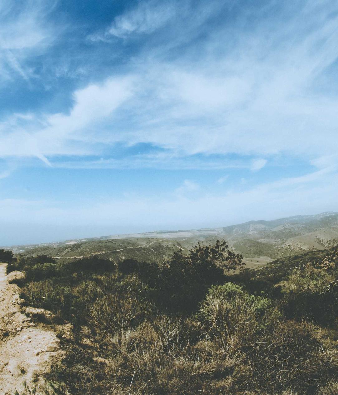 Bohem宝恒树叶爆珠:上海市代理注册