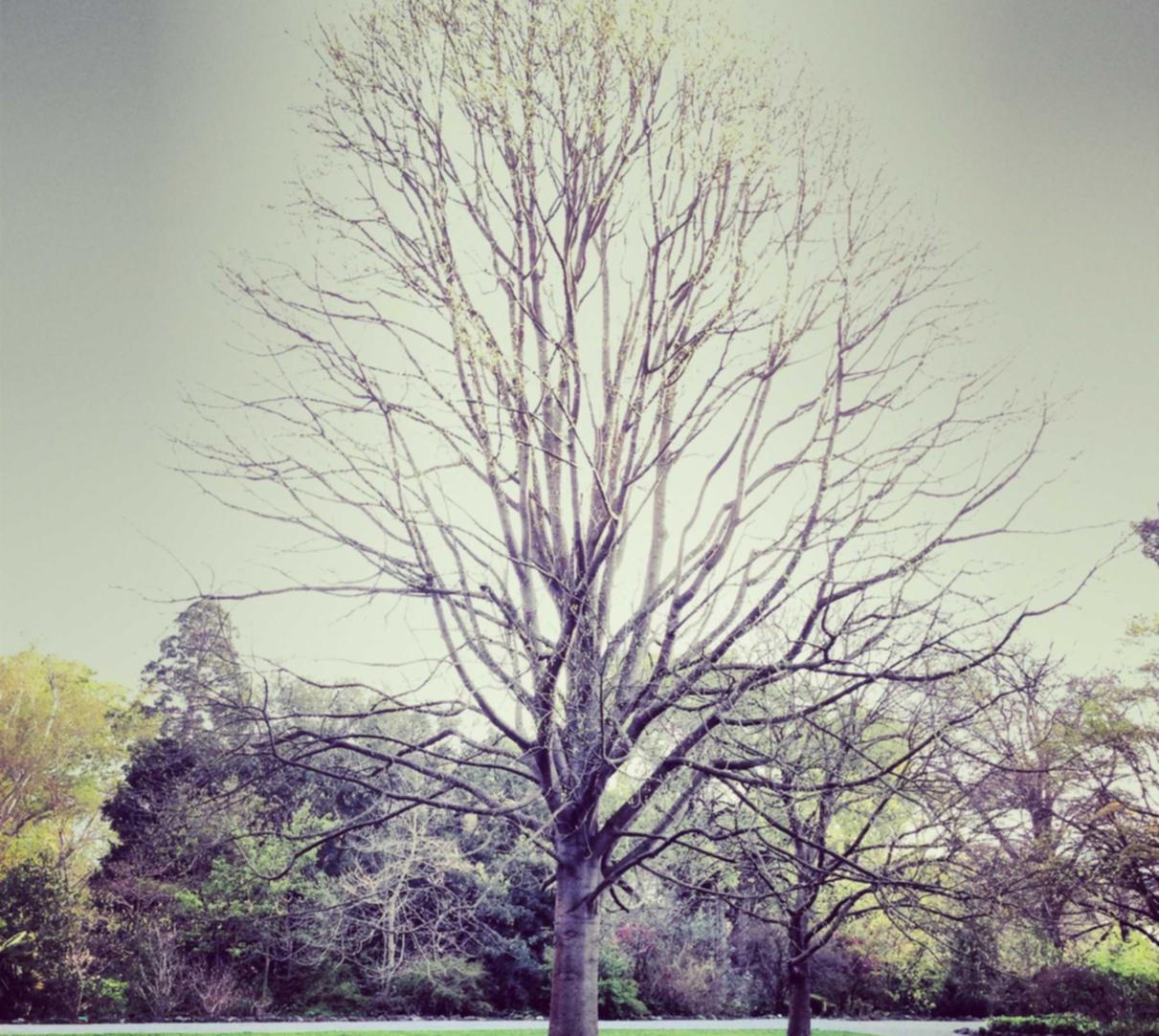 凤凰城湖州代理报税平台