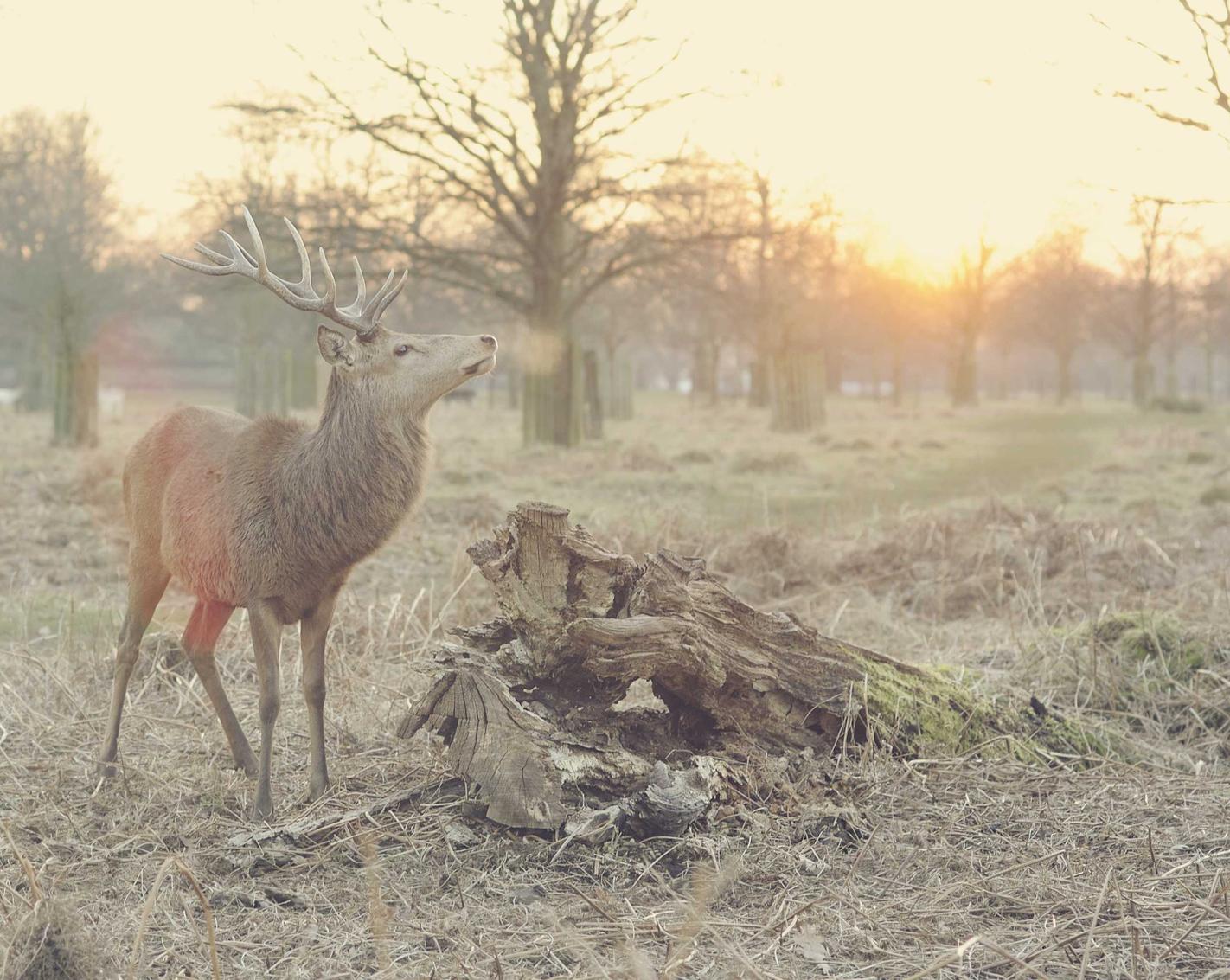 全民优打实名账号:校园小程序平台代理