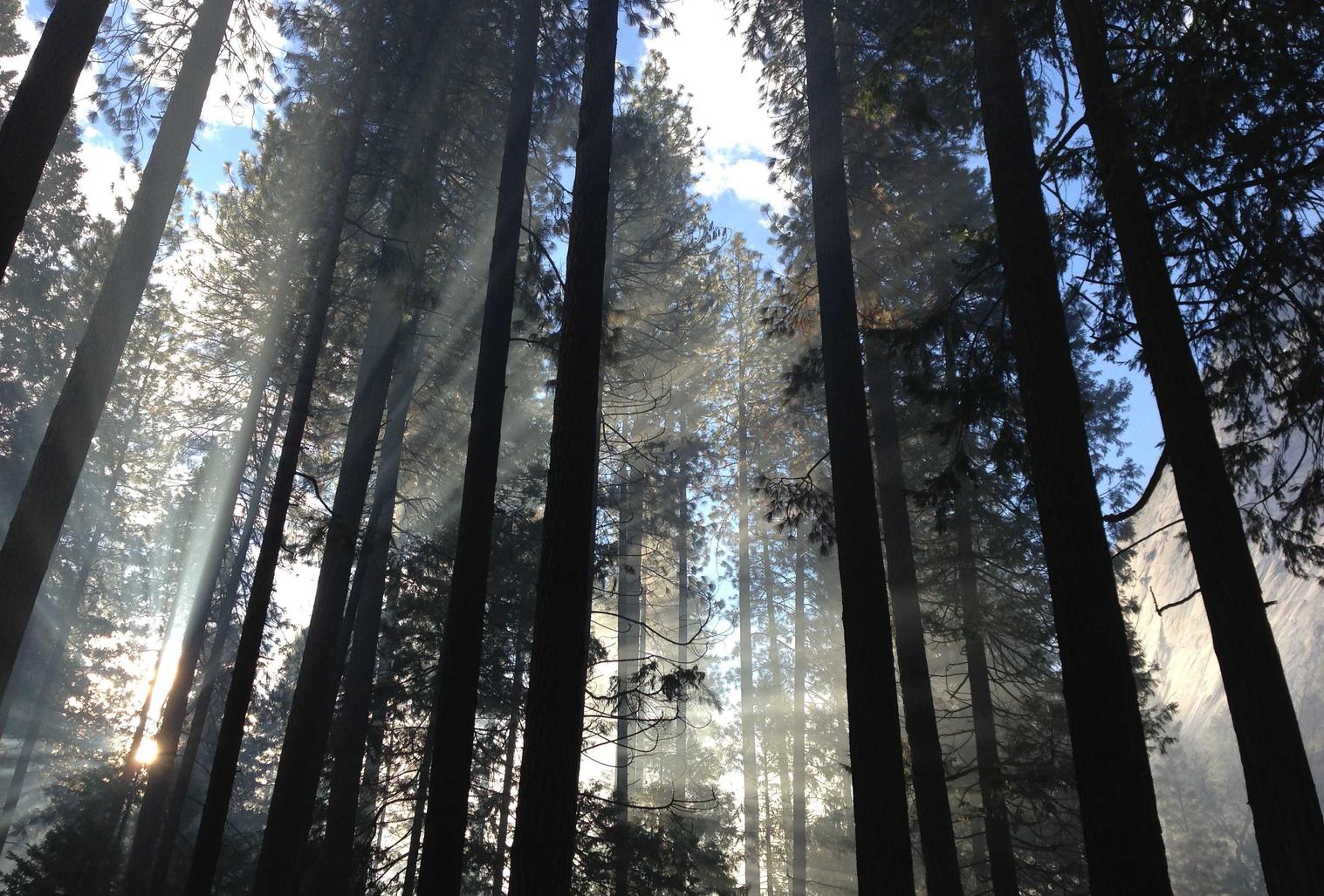 云梦四时歌辅助- 闪贷app详情下载教程