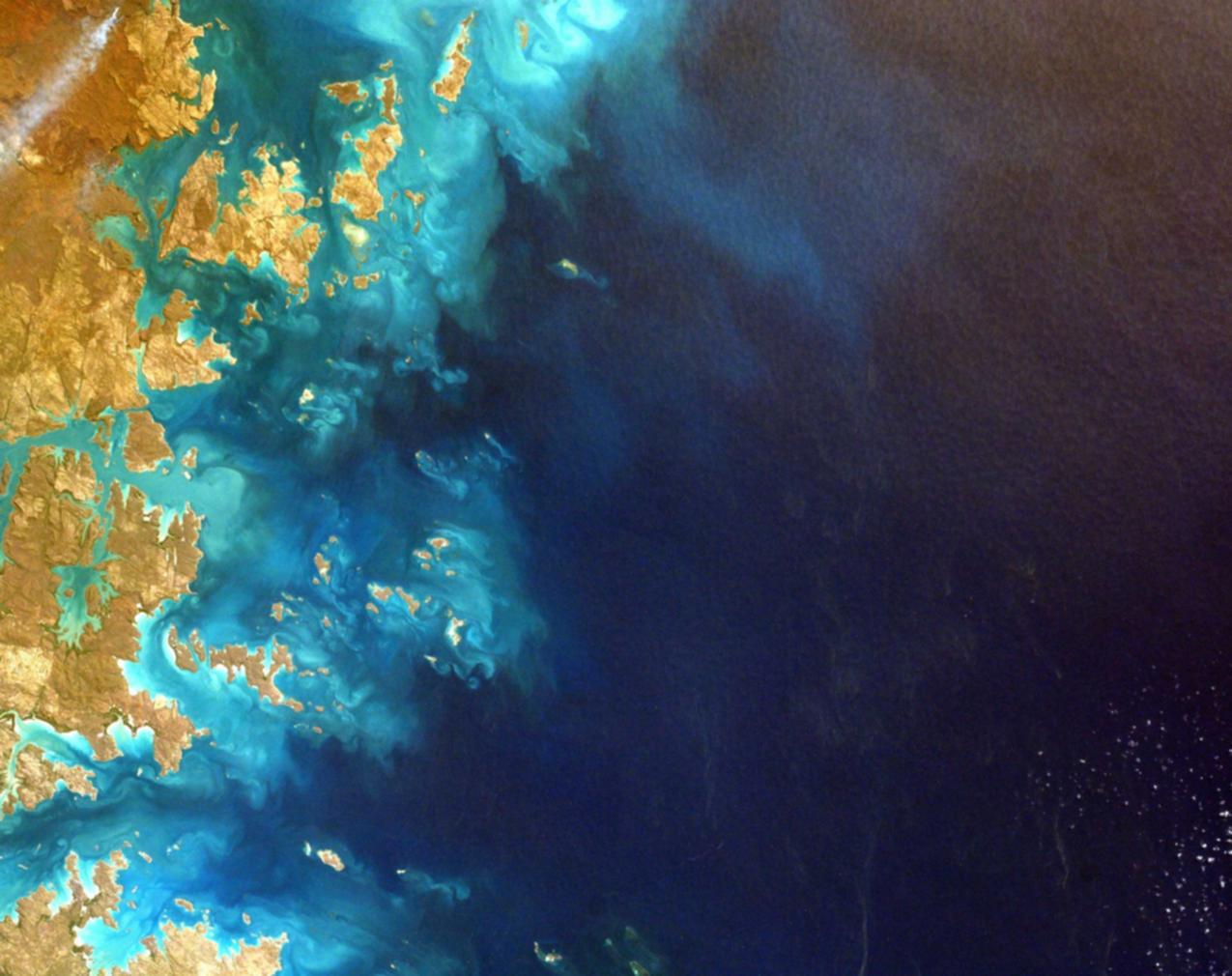 反技术支持辅助技术的成功案例