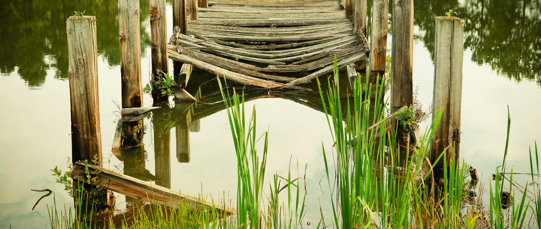 中免555柠檬双爆珠：掌上亳州app详情下载教程