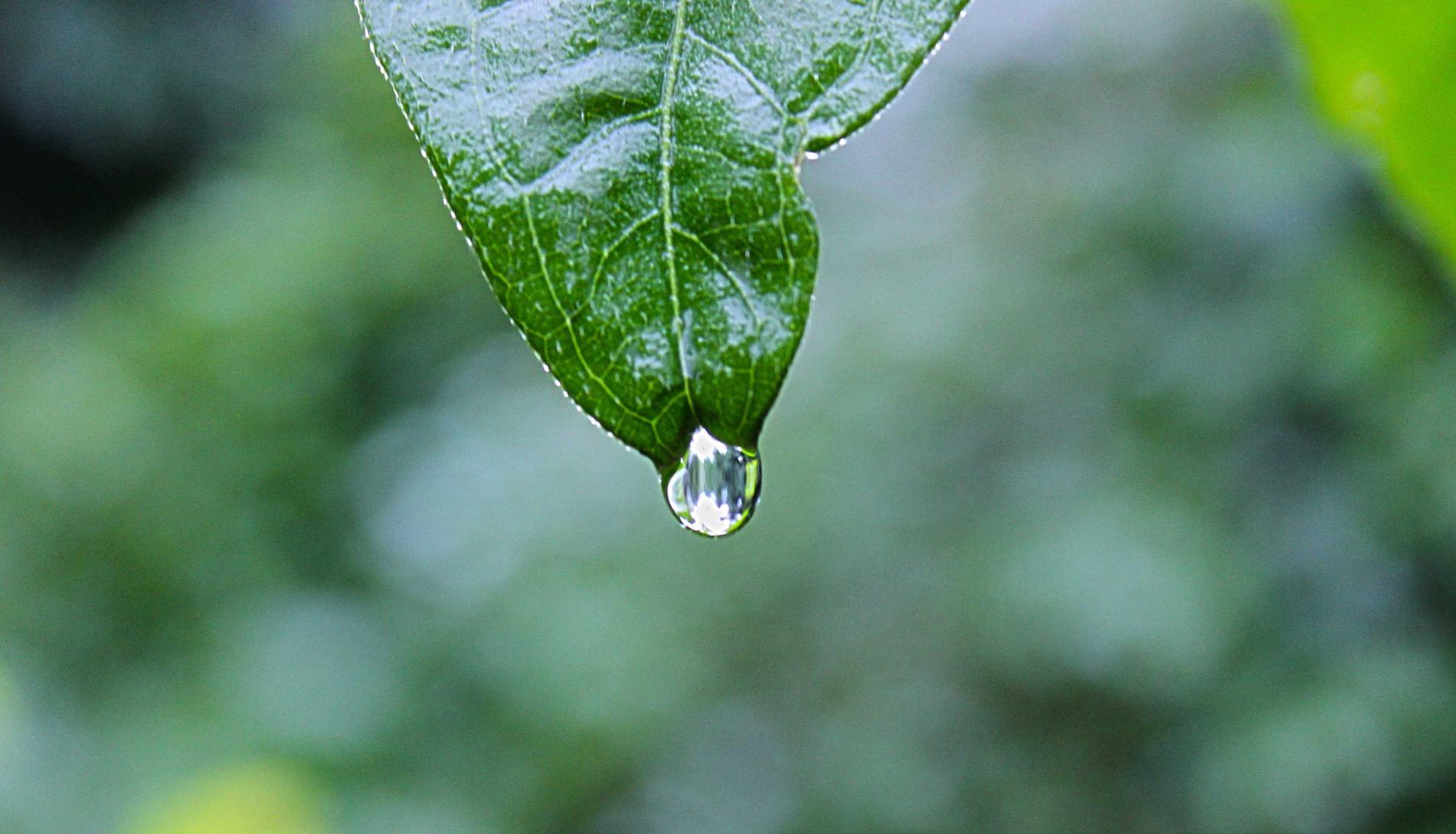 阿里云实名账号:app详情下载教程用指纹