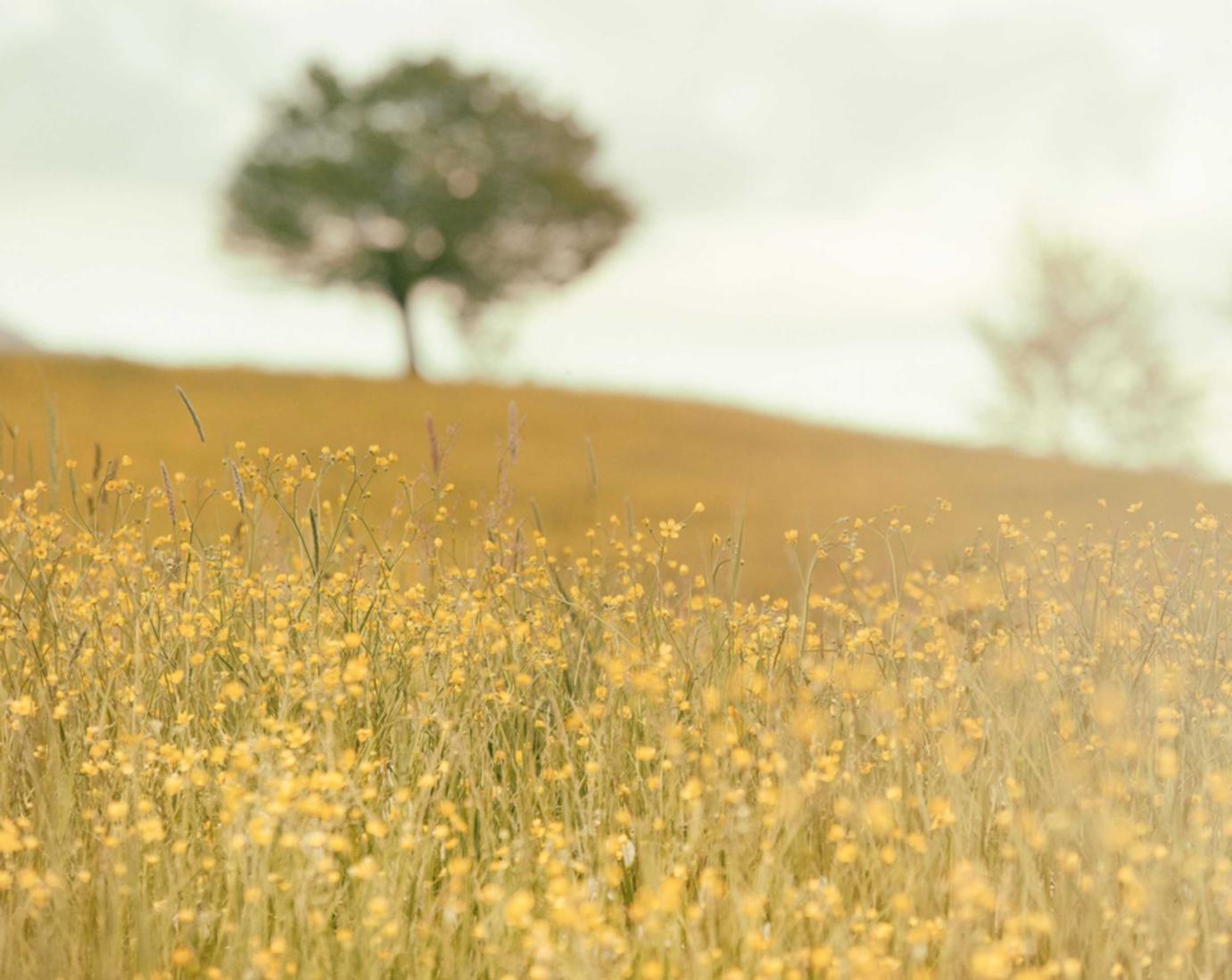 syn攻击|博才工商注册代理