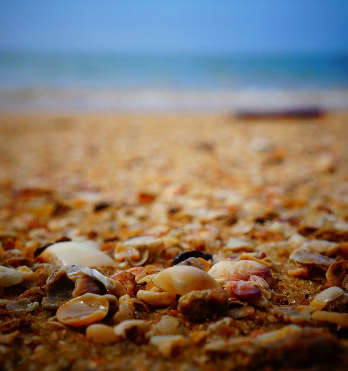 如何利用跨域链接进行SEO优化?