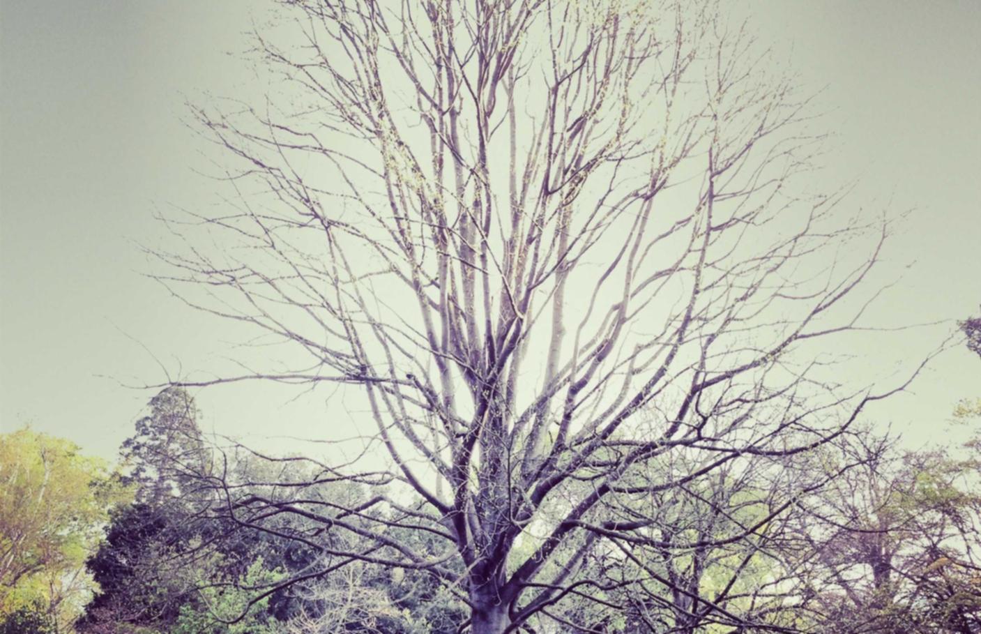 探探实名账号:宣城代理加盟平台