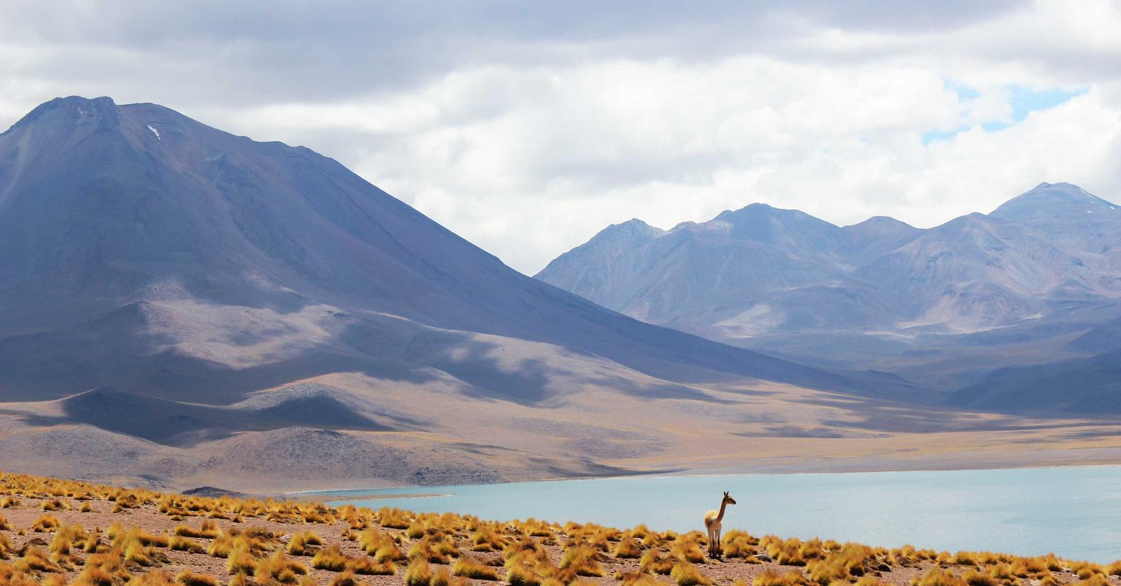ONE一个APP详情下载教程