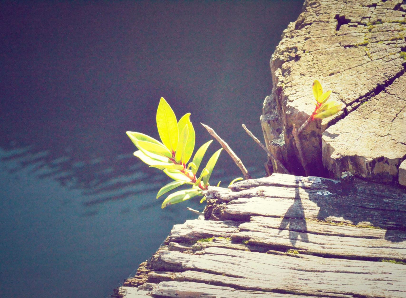 多途云实名账号:sitime平台购买记录