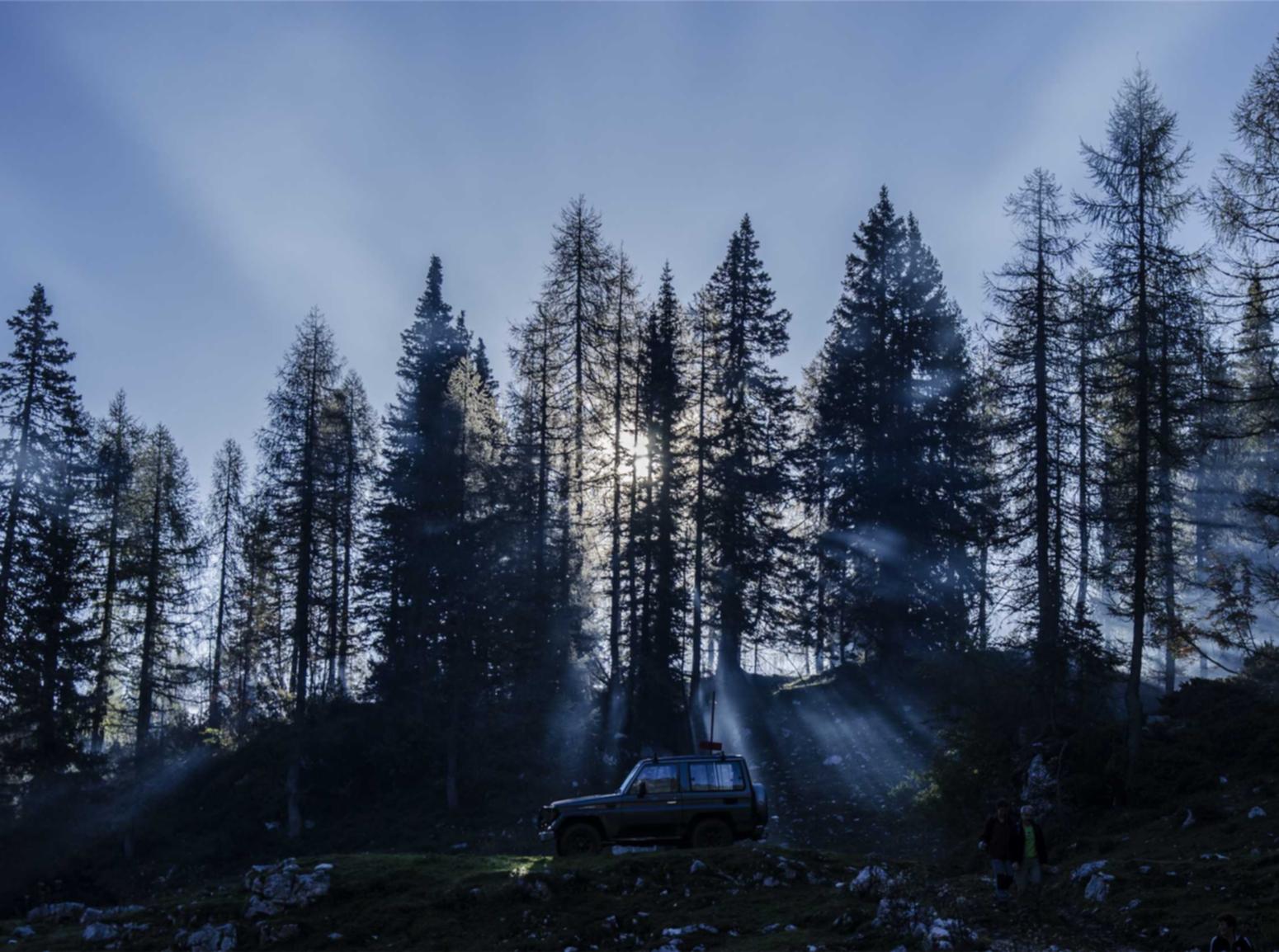 出各种微信号:特价商品平台包包代理