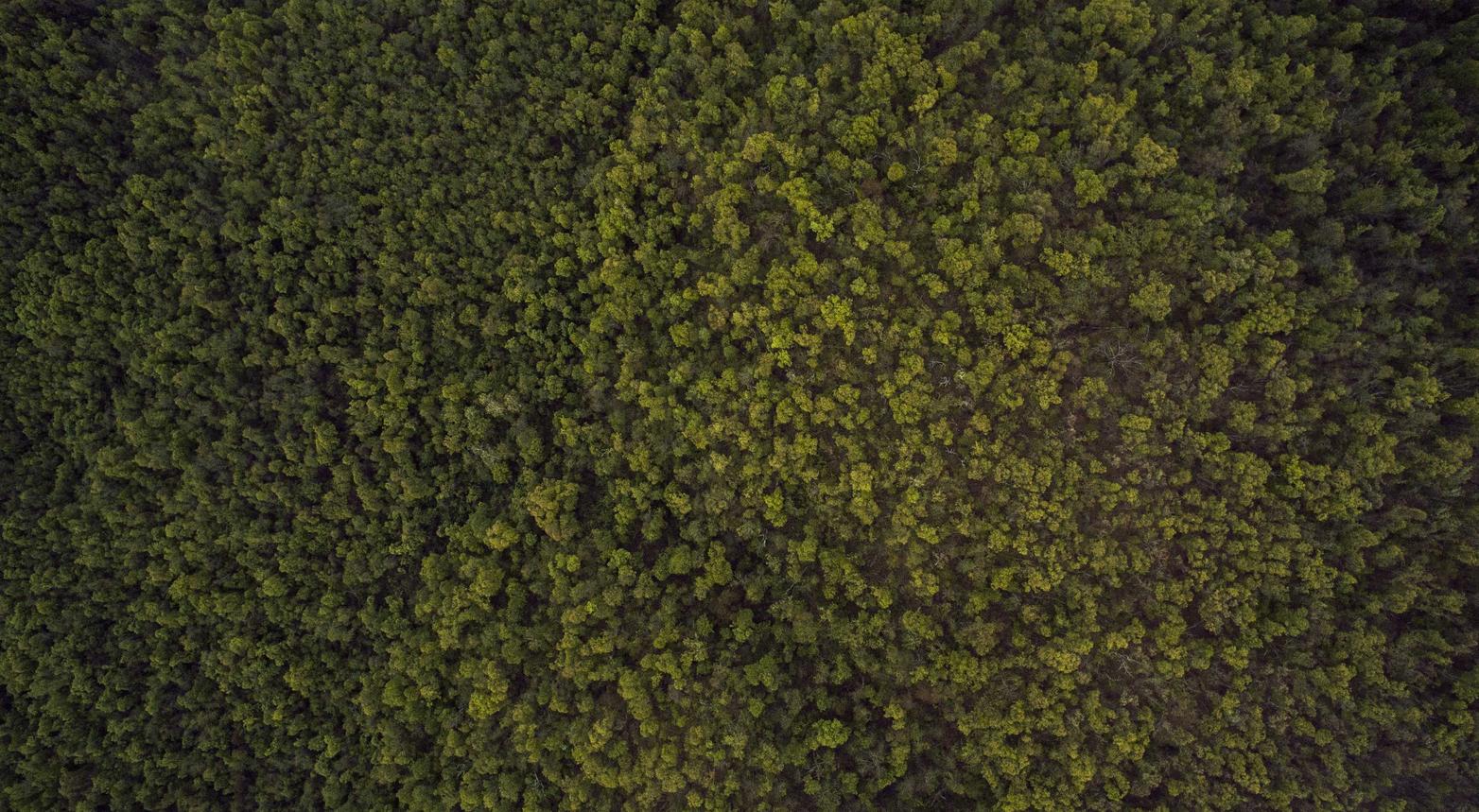 网站安全渗透:金铲铲账号可以重新注册吗