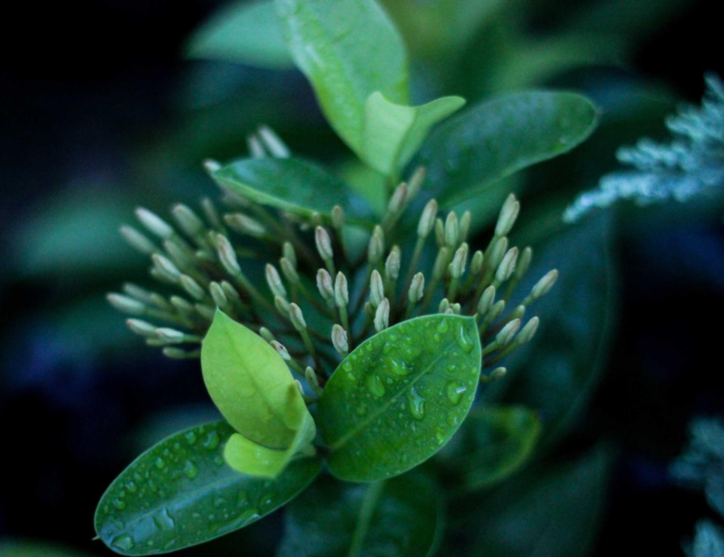 实名手机卡买卖:手机app详情下载教程赚钱