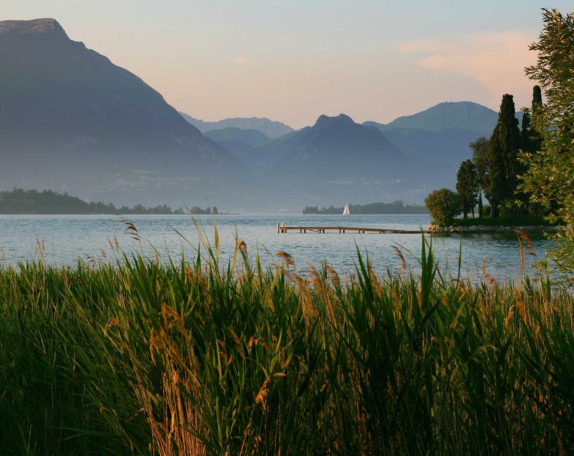 香烟成瘾:抽烟的危害和后果