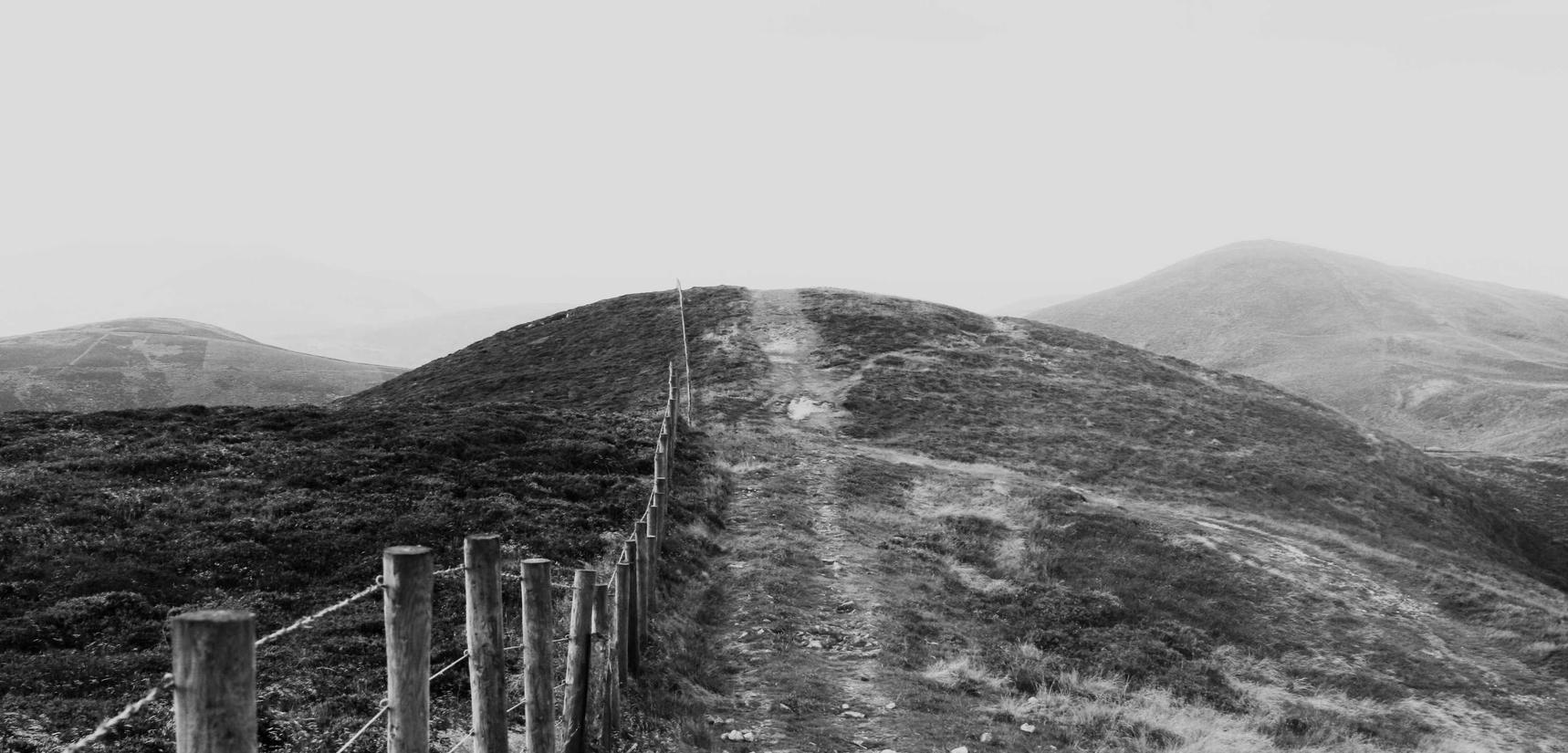 雨花台区代理注册商标