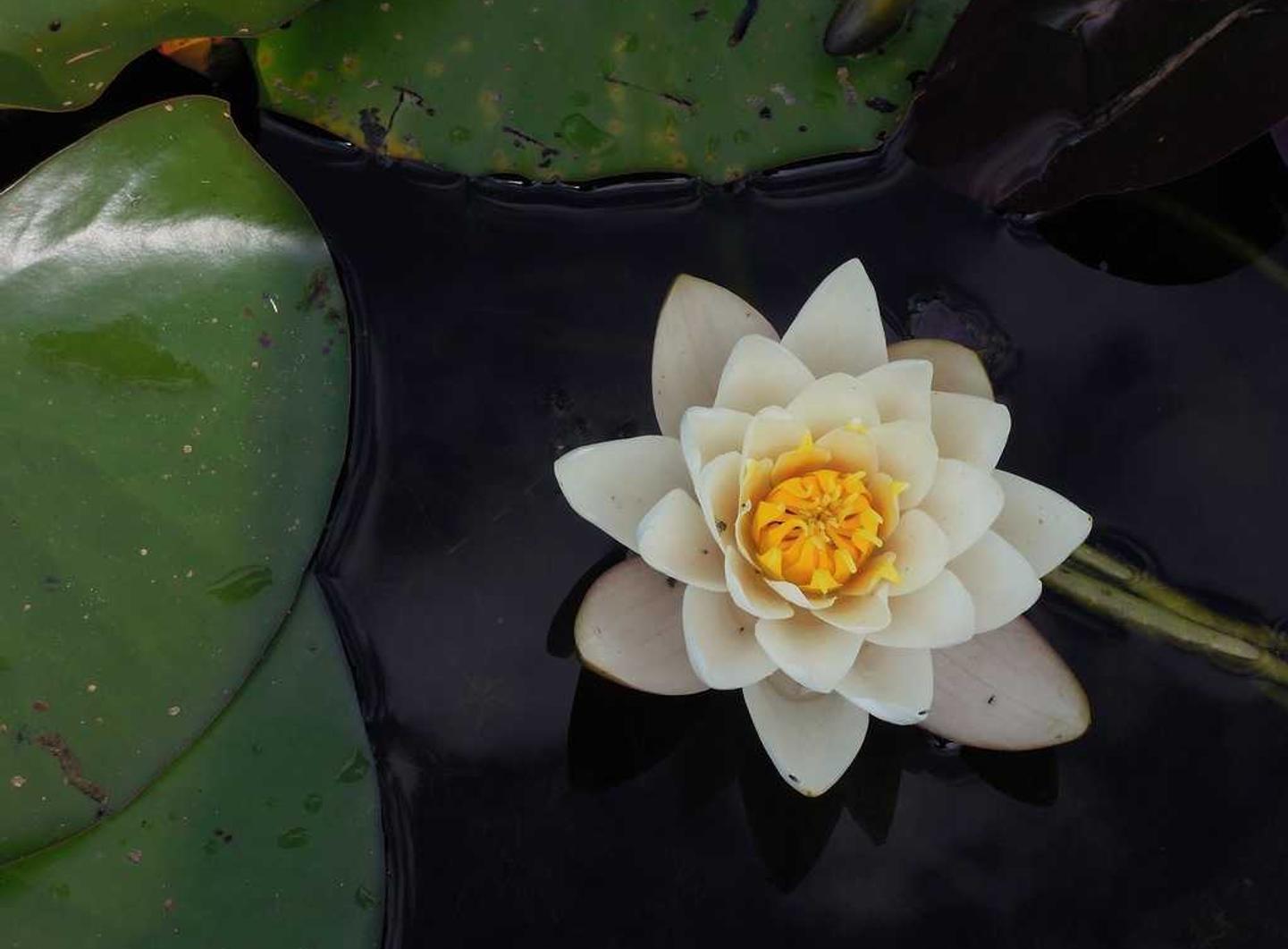 网站压力测试|金蝶云账号个人名义注册