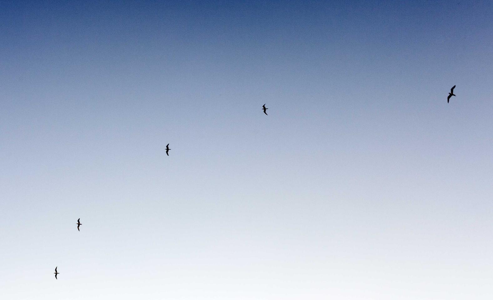 微信实名账号:海思官网注册账号是什么