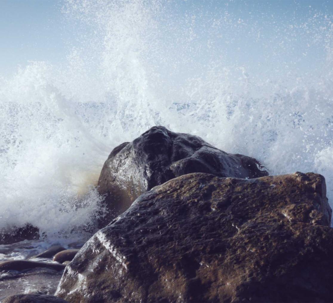 技术支持软件研发背后的商业利益是什么？