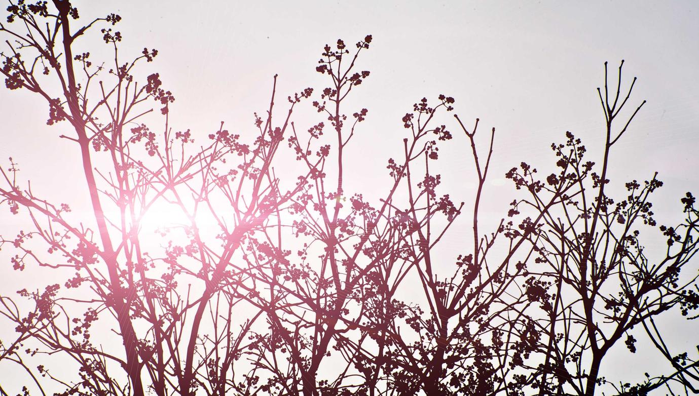 中期移动实名账号:快手直播账号购买