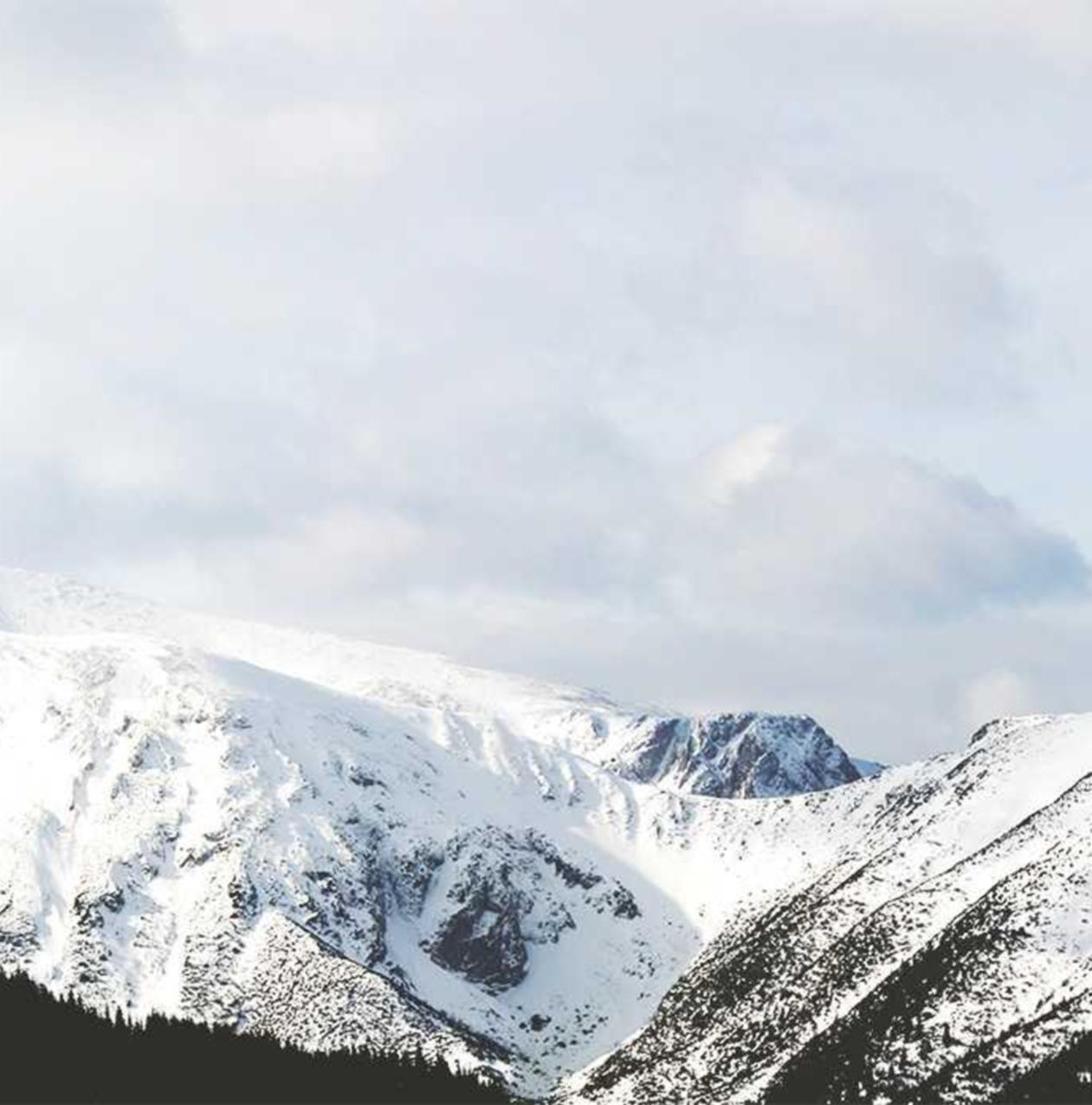 香烟是否带来了社交影响?