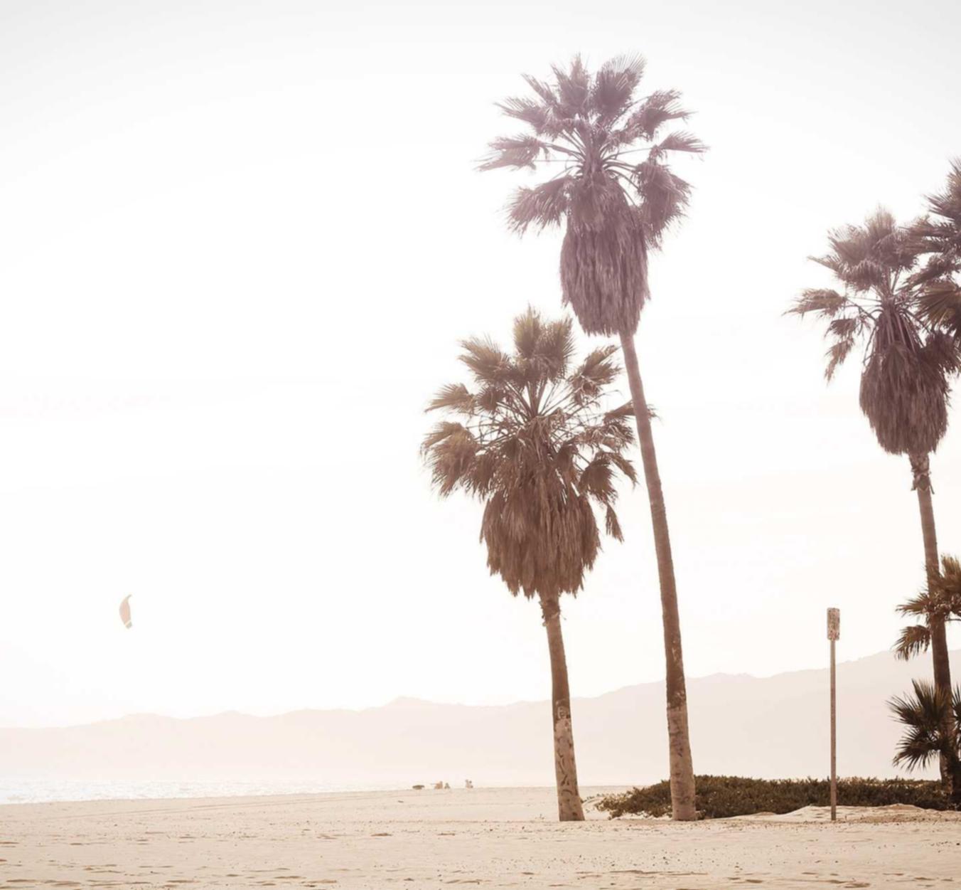 恒创科技实名账号:注册商标怎么做代理商