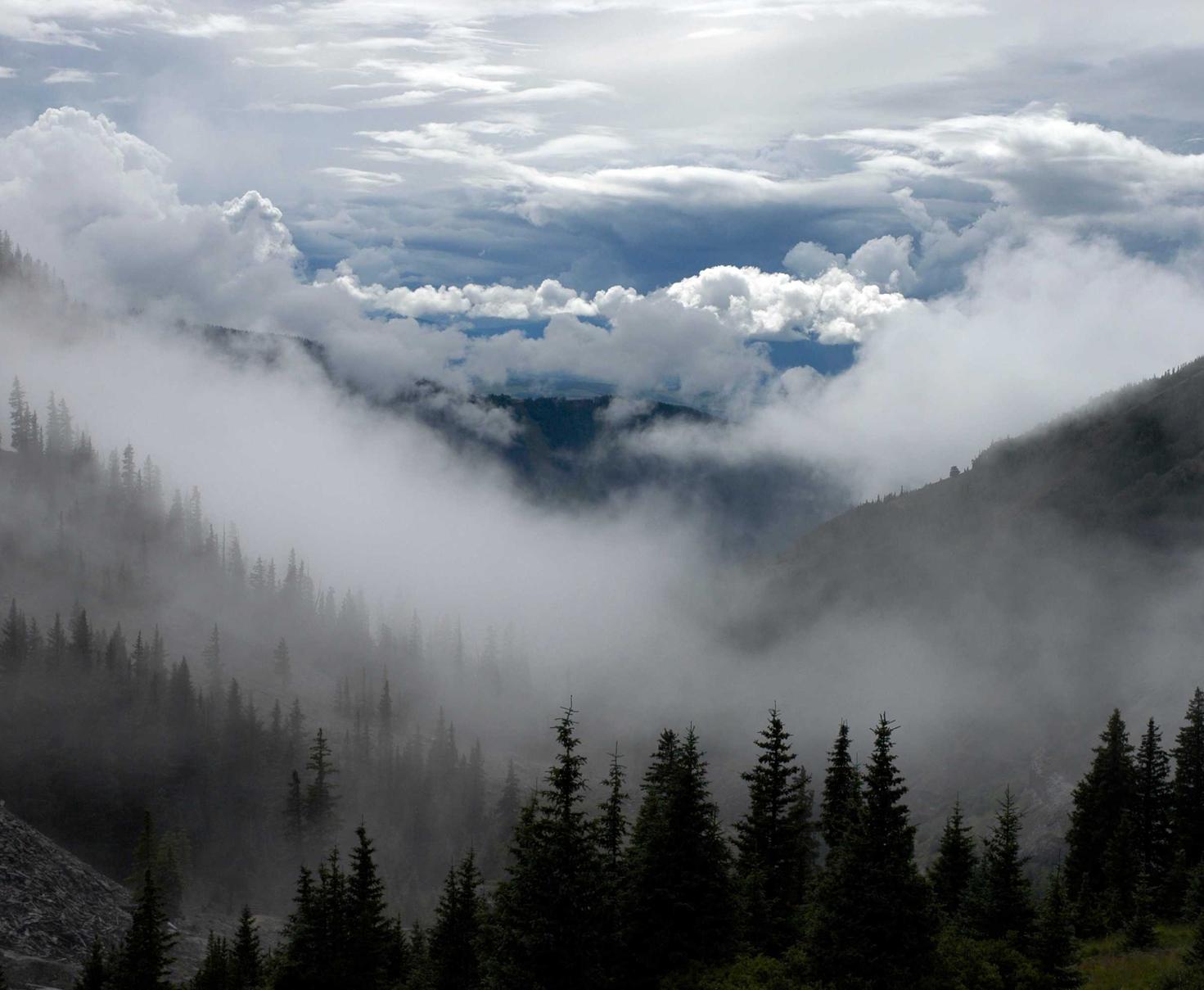 西岗代理记账注册用户体验