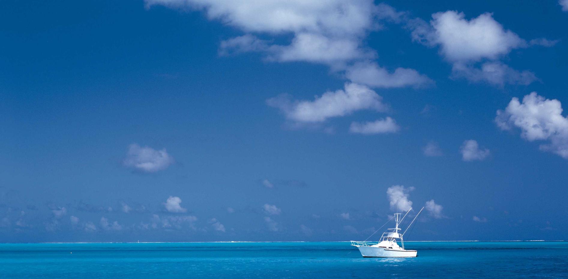 海鸥实名账号:app拍照软件详情下载教程