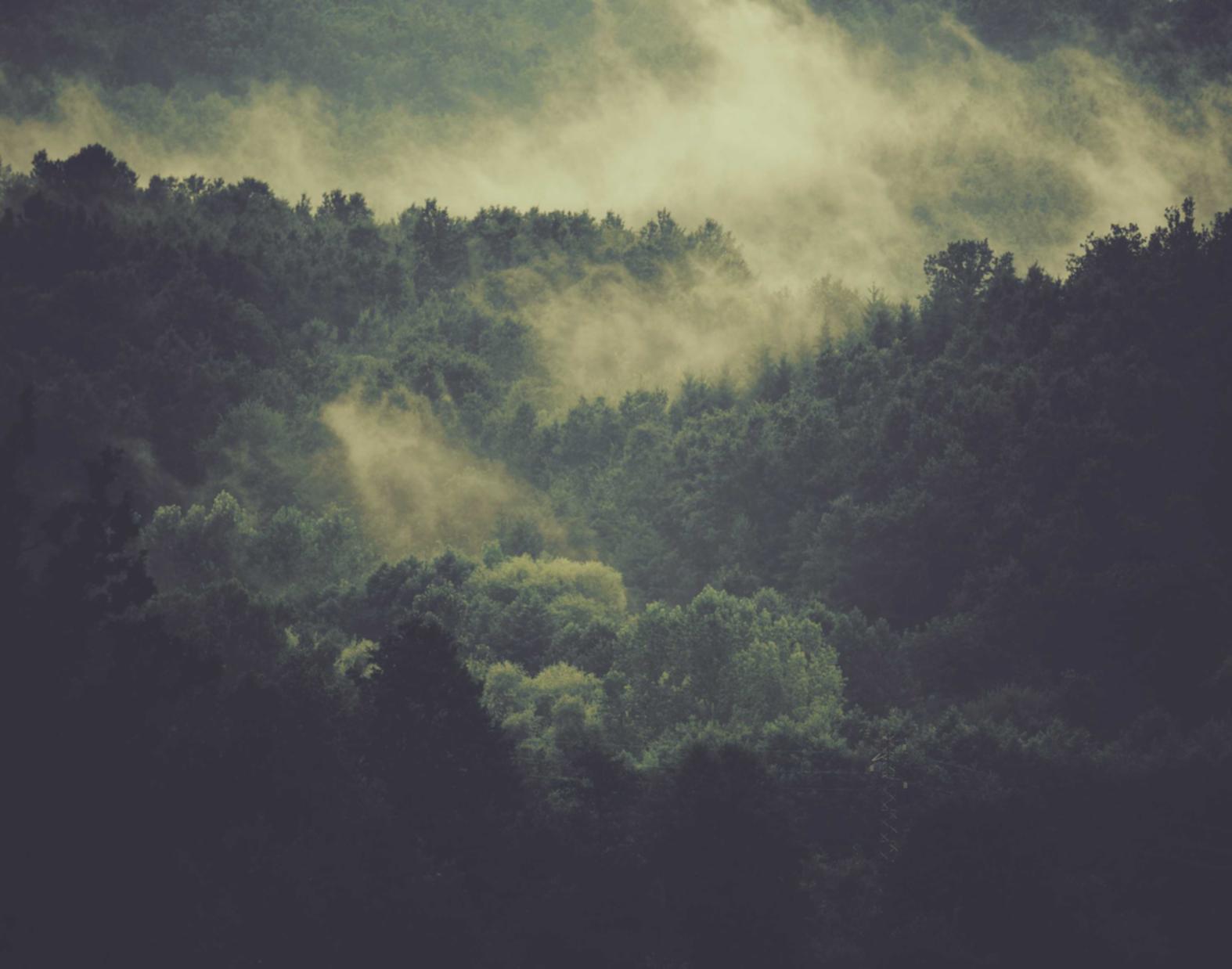 实名流量卡买卖:真我官网注册不了账号吗