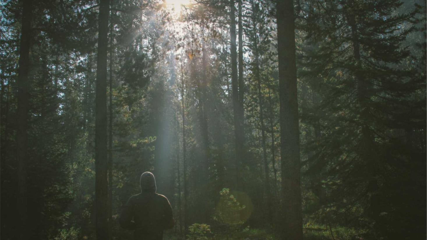 网页在线DDOS压力测试|草莓视频 _详情下载教程App