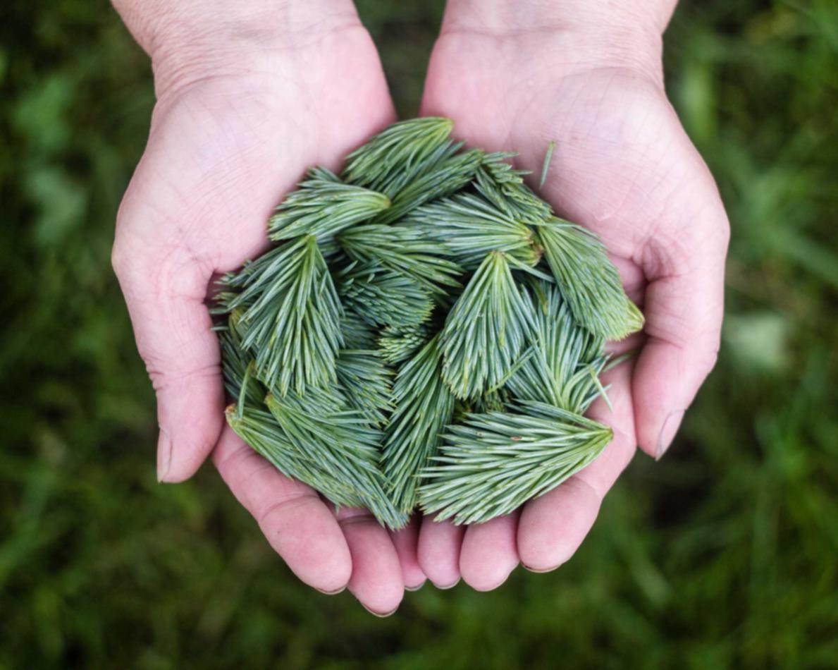 意昂新疆钢材购买平台