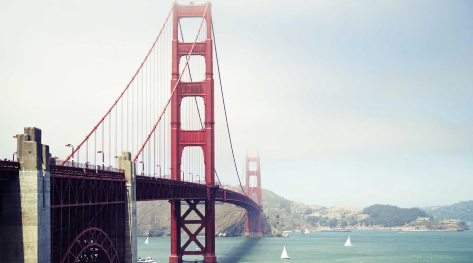 小米手机卡实名账号：厦门植物购买平台