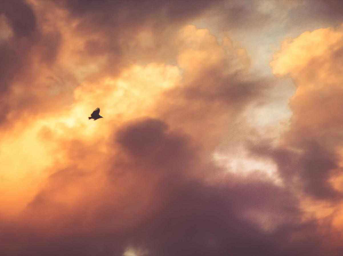 换绑手机卡已实名- 风云传奇代理平台官网