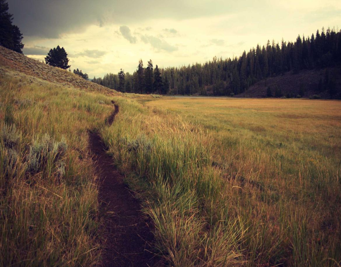 如何找到合法的技术支持辅助 